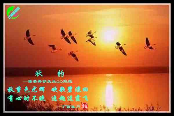 769秋韵.jpg