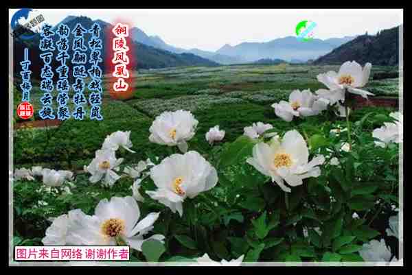 790凤凰山.jpg