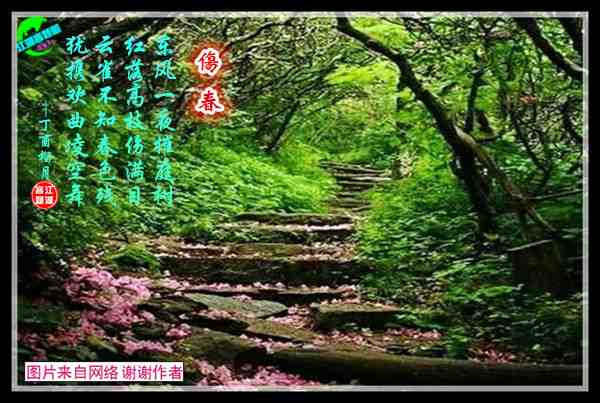 798伤春.jpg