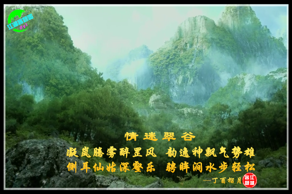 796情迷翠谷.jpg