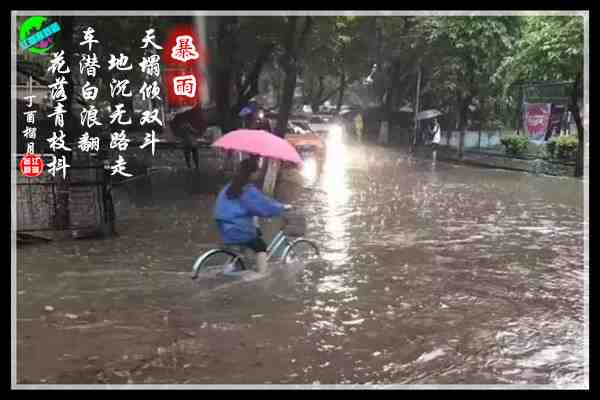 815街雨.jpg