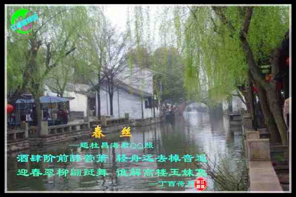 874春丝.jpg