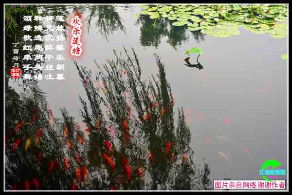 888欢乐莲塘.jpg