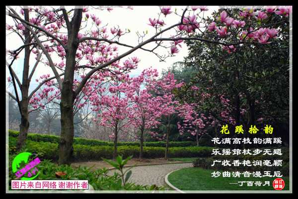 927花蹊拾韵.jpg