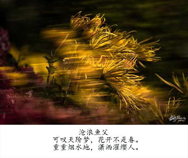 a0ehry2579196536137.jpg