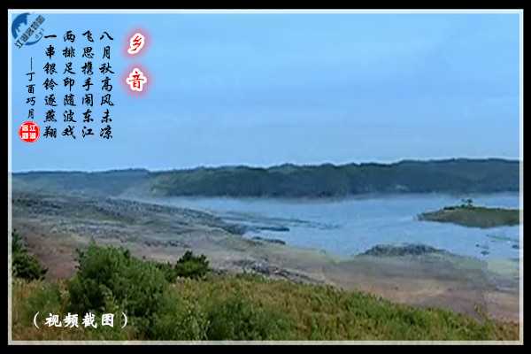 974乡音.jpg