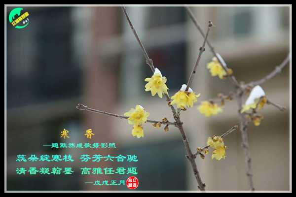 1148寒香.jpg