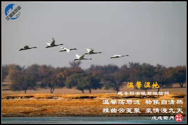 1284冬阳有暖.jpg