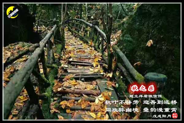 1311秋之乐.jpg