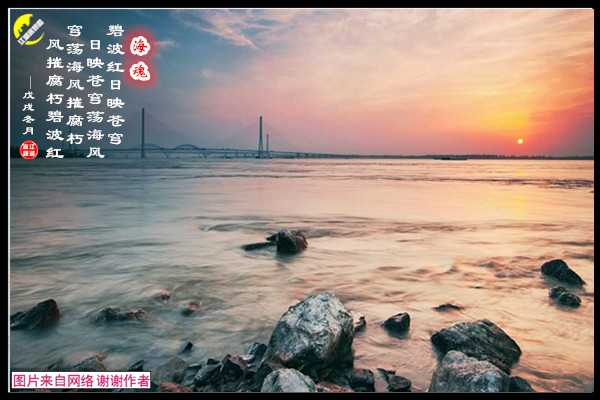 1442海魂.jpg