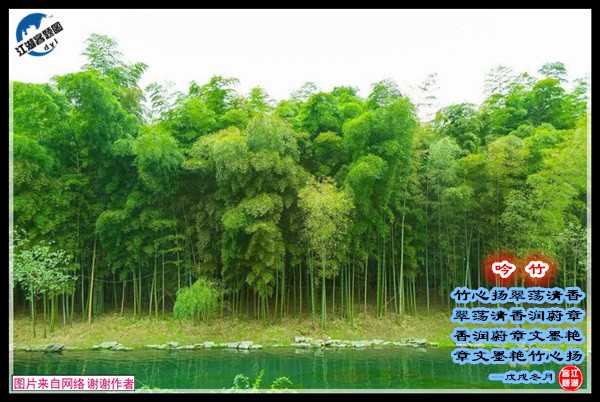 1445吟竹.jpg