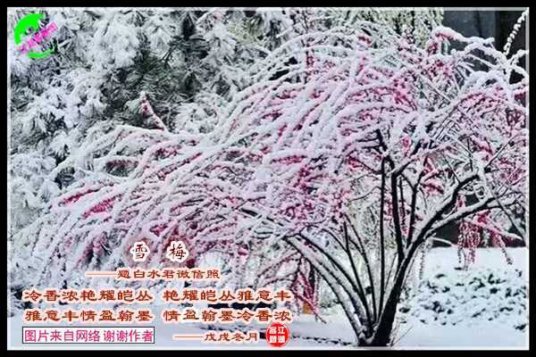 1449雪梅.jpg