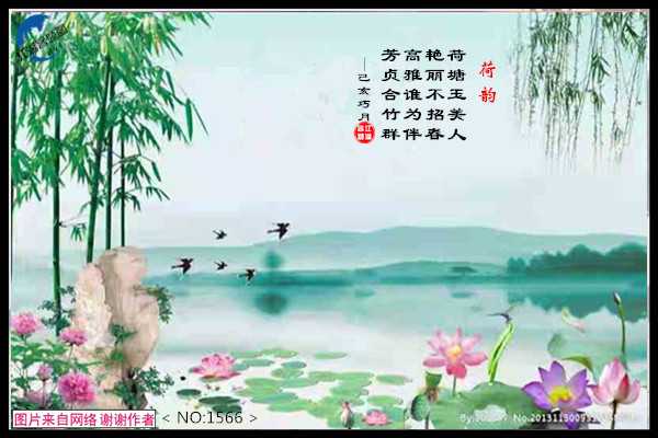 1566荷韵.jpg
