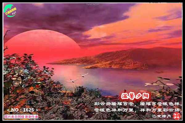 1625夕阳.jpg