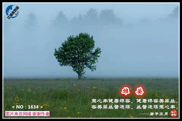 1634雄姿.jpg