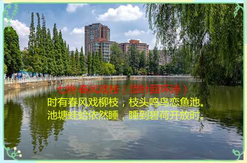 756370_20190822205046811020_0_副本.jpg