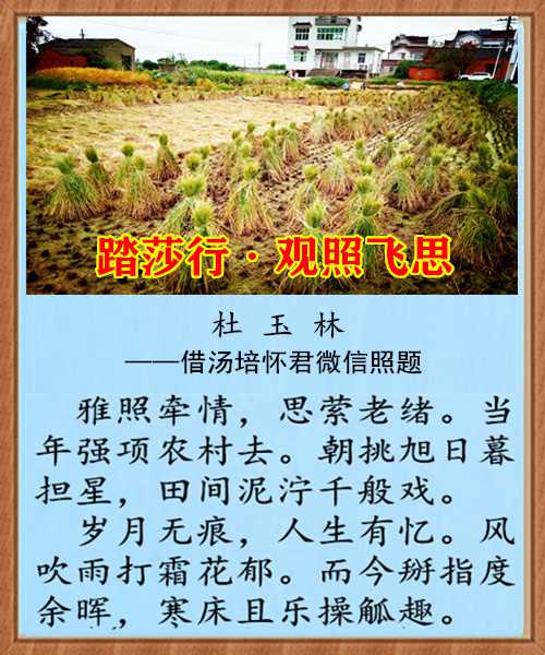 1踏莎观照飞思.jpg