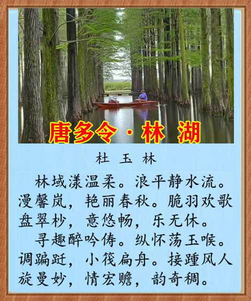 1149唐多令林  湖.jpg