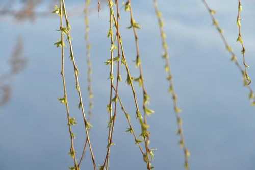 u_674765719_3989630554&fm_253&fmt_auto&app_138&f_JPEG.jpeg