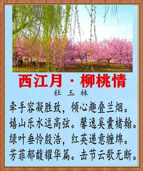 1211西江月柳桃情.jpg