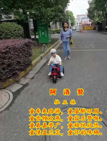 1278阿洛赞.jpg