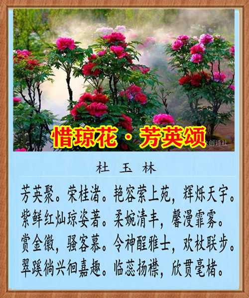 1267惜琼花芳英颂.jpg