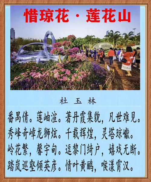 1280惜琼花莲花山.jpg