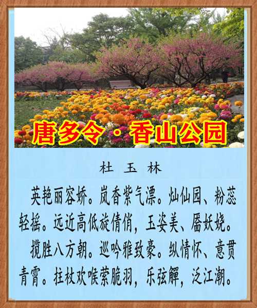1286唐多令香山公园.jpg