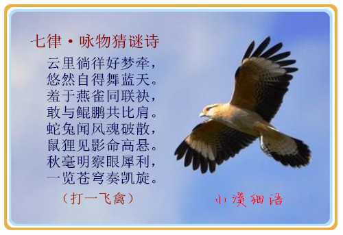 f11390a77b1a13809b51318542ff2232_副本.jpg