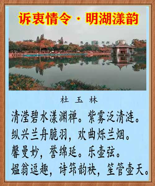 mmexport1734523113189.jpg