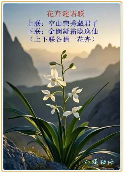 1128855140b7615311985a6e49762db3_副本.jpg